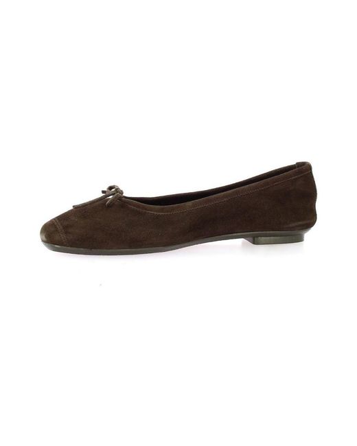 Ballerines Ballerines Harmony Cuir Velours Reqins en coloris Gray