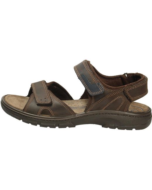 Sandales Plates Belvida pour homme en coloris Brown
