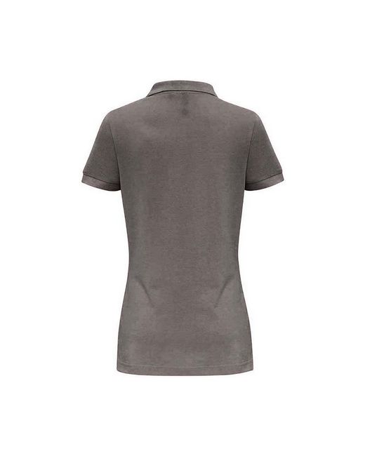 Polo Asquith & Fox en coloris Gray