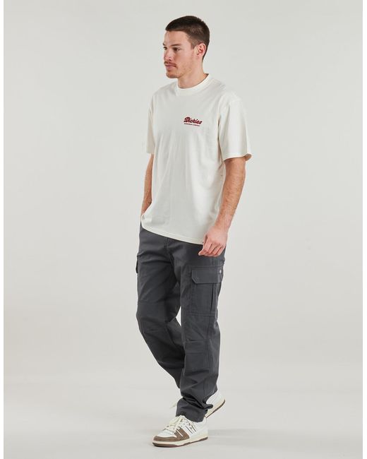 Dickies Cargobroek Millerville in het Gray voor heren