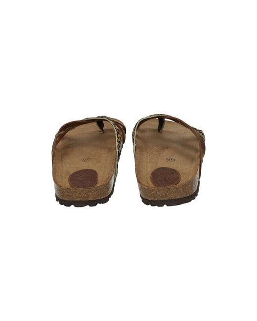 Sandales plates Interbios en coloris Brown
