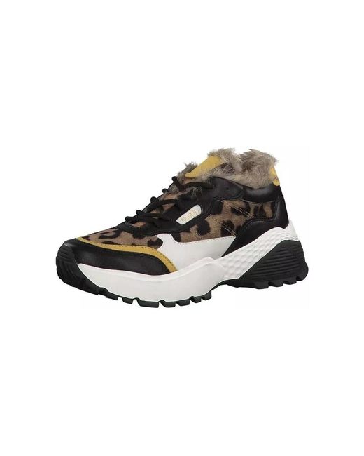 Baskets basses Baskets Rohde en coloris Black