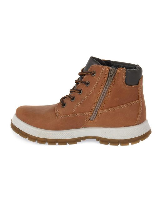 Bottines SCIROK SENAPE Imac en coloris Brown