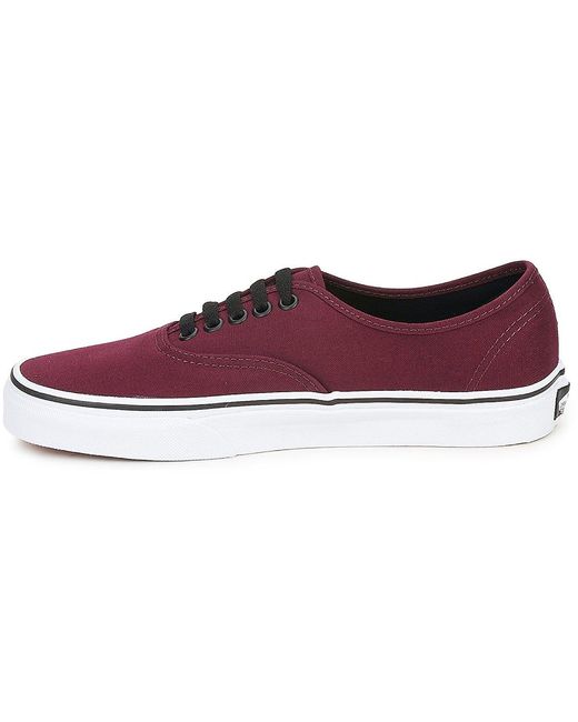Vans Purple Sneaker AUTHENTIC