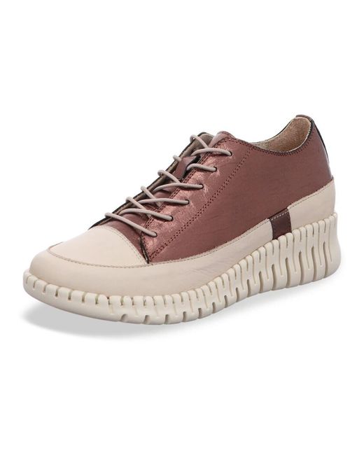 Baskets basses Gemini en coloris Brown
