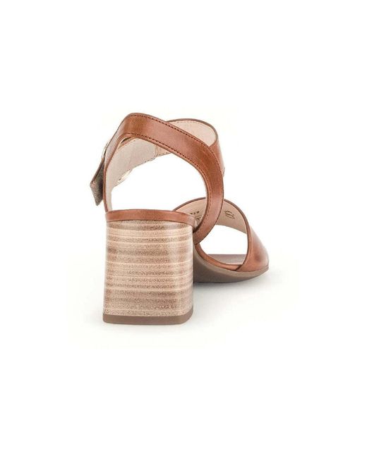 Gabor Teenslippers 61.700.24 in het Brown