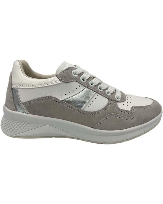 Baskets basses Lumberjack en coloris Gray