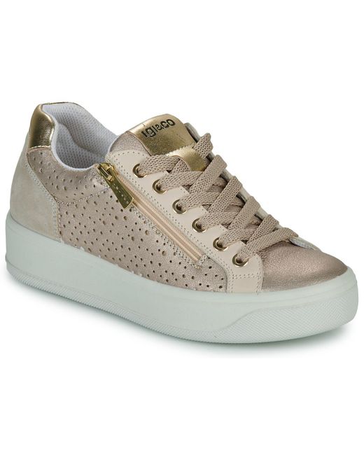 Sneakers Basse 5658222 di Igi&co in Gray