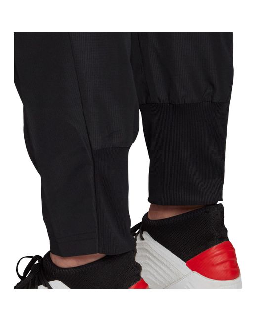 condivo 20 presentation pants