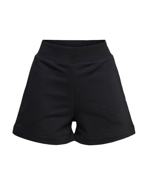 Short Shorts knitted SUS SWEAT SHORT Esprit en coloris Black