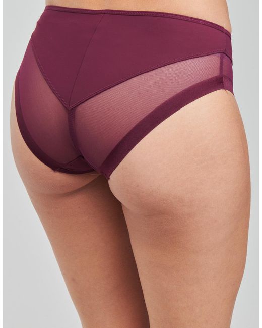 Culottes Dim en coloris Purple