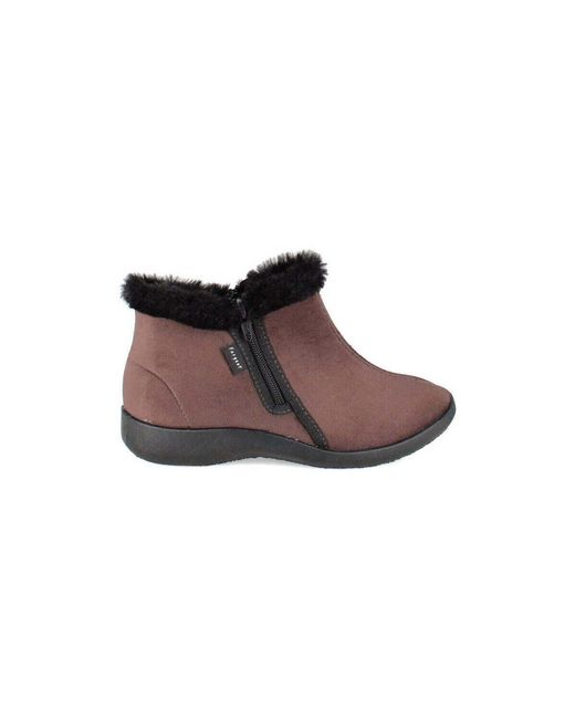 Bottines dynamo Fargeot en coloris Brown