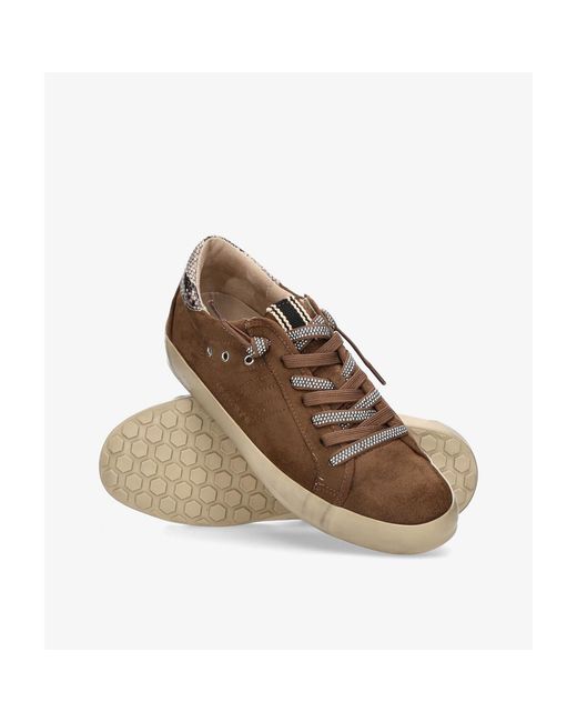 Baskets M6501 Corina en coloris Brown