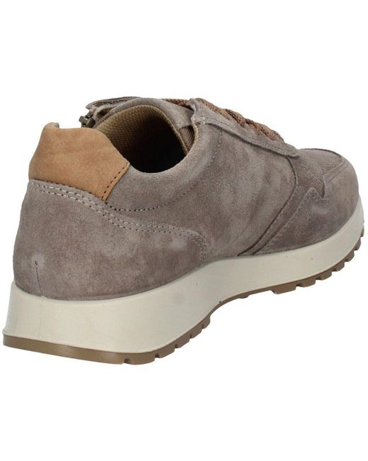 Baskets basses Imac pour homme en coloris Gray
