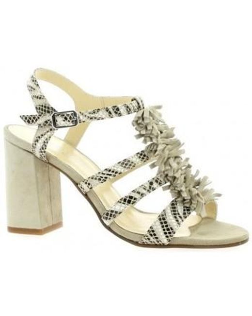 converse jw anderson blanche