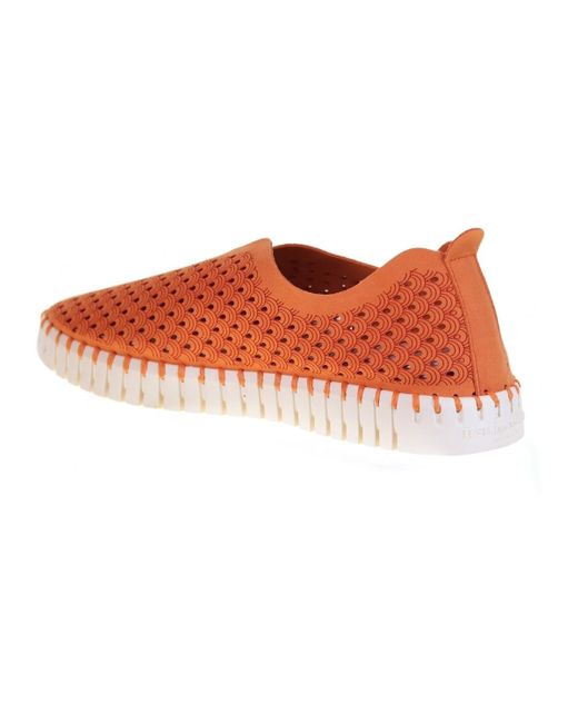 Derbies TULIP 3275 Ilse Jacobsen en coloris Red