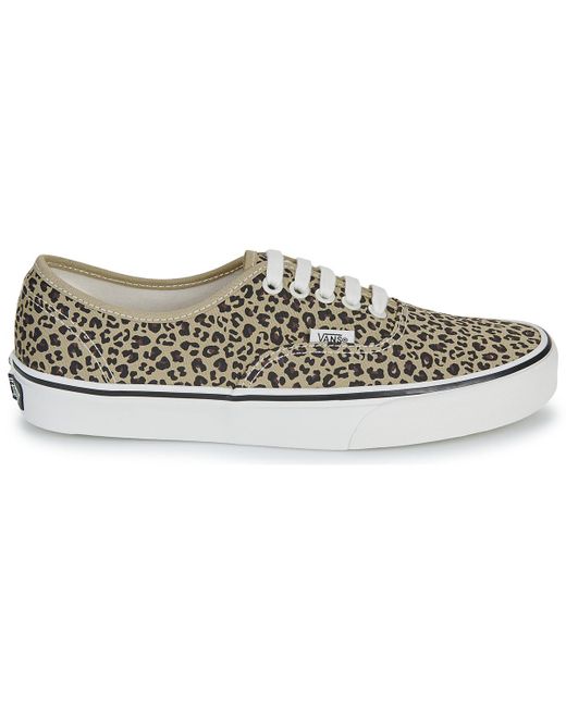 Vans Gray Sneaker Authentic