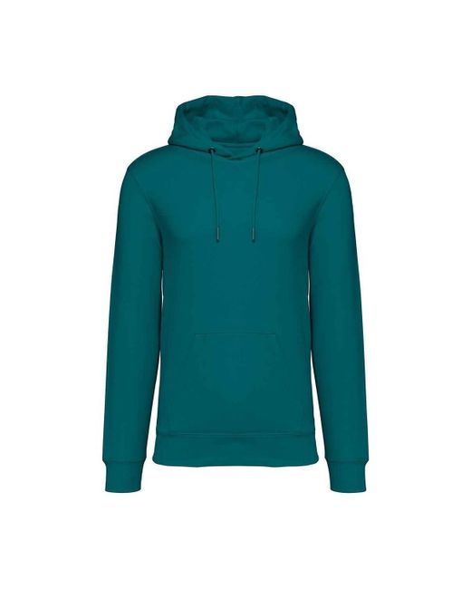 Sweat-shirt PC5121 NATIVE SPIRIT pour homme en coloris Green