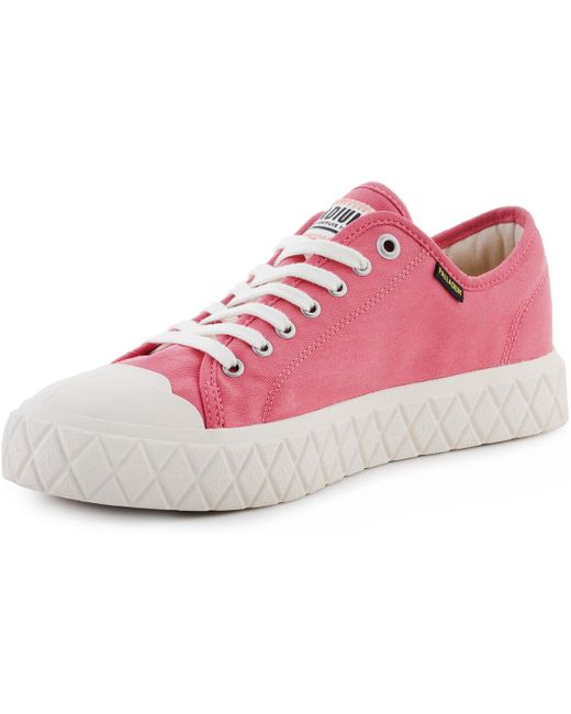 Baskets basses Palla Ace Cvs Org 74447-699-M Berry Shake Palladium en coloris Pink