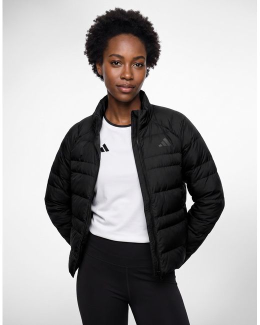 Adidas Donsjas Essentials Packable Insulated Jacket in het Black