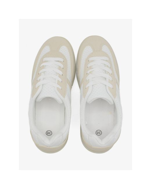 Baskets Basses 6502 C M en coloris White