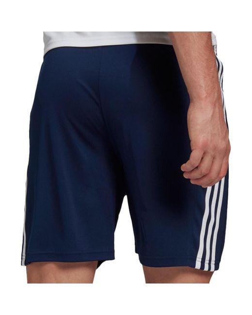 adidas Korte Broek Squadra 21 Shorts in het Blauw voor heren - Bespaar 9% -  Lyst