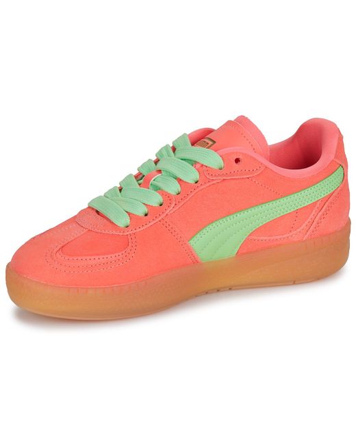 PUMA Lage Sneakers Palermo Moda Xtra Gum Wns in het Red