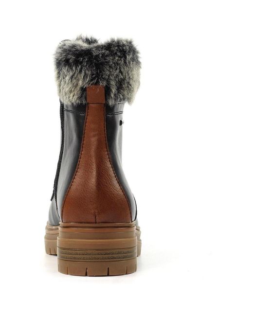 Bottines Bernice Lunar en coloris Black