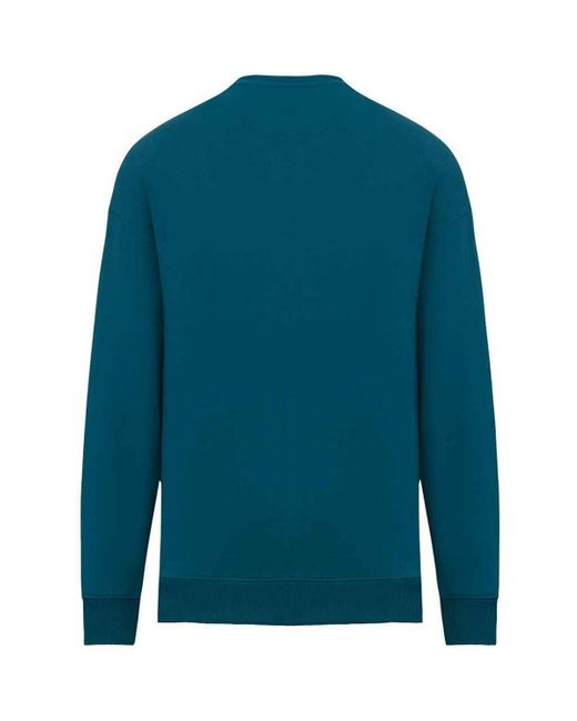 Sweat-shirt PC5152 NATIVE SPIRIT en coloris Blue