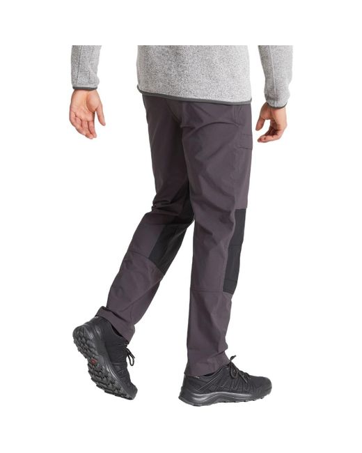 Pantalon Kiwi Pro Craghoppers pour homme en coloris Gray