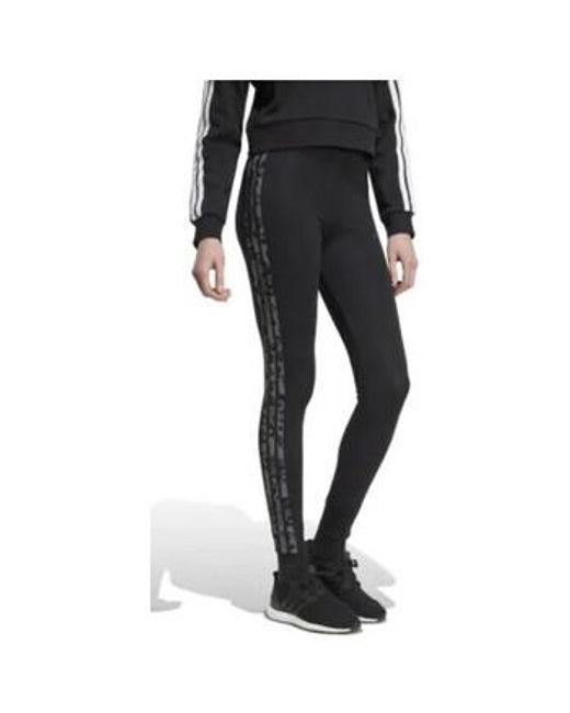 Collants LEGGING NOIR - BLACK/MULTCO/GREFIV - M Adidas