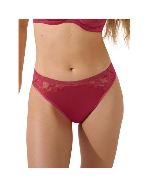 Lisca Slips Ocean Slip in het Red