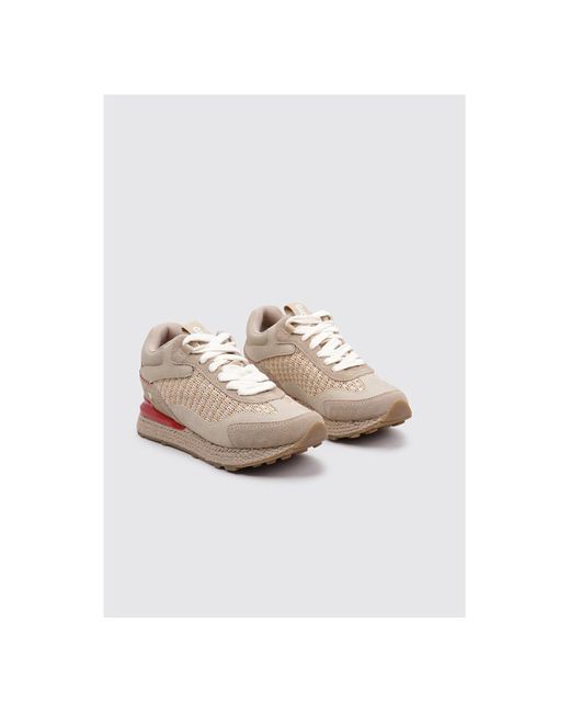 Baskets basses HARDING Gioseppo en coloris Brown