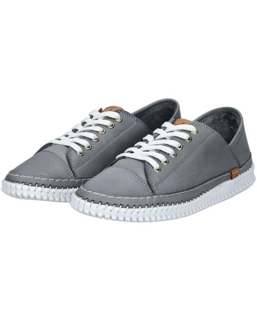 Baskets basses Derbies Andrea Conti en coloris Blue