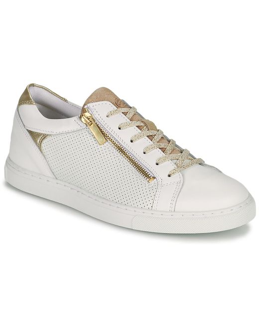Baskets Betty London en coloris White