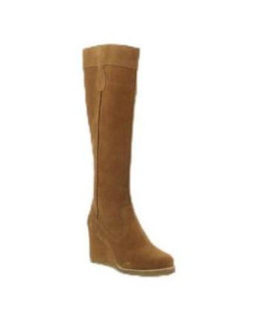Bottes West, Bottes Femme Kickers en coloris Brown
