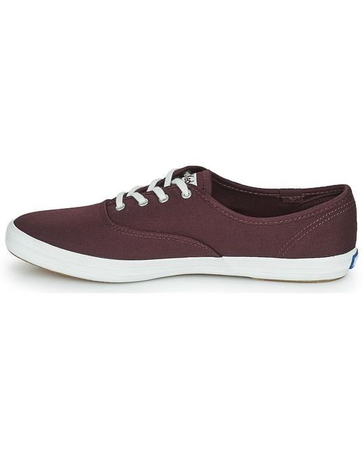Baskets Basses Keds en coloris Multicolor