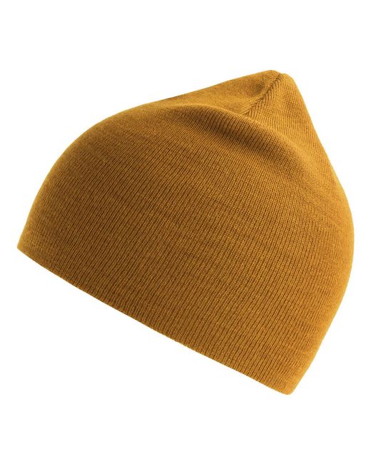 Bonnet AB694 Atlantis en coloris Brown