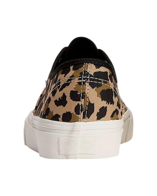 Baskets Authentic Vans en coloris Brown