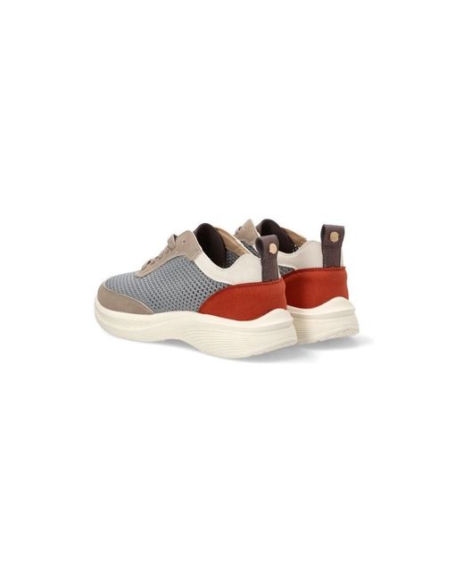 Baskets 812209 Armony en coloris Multicolor