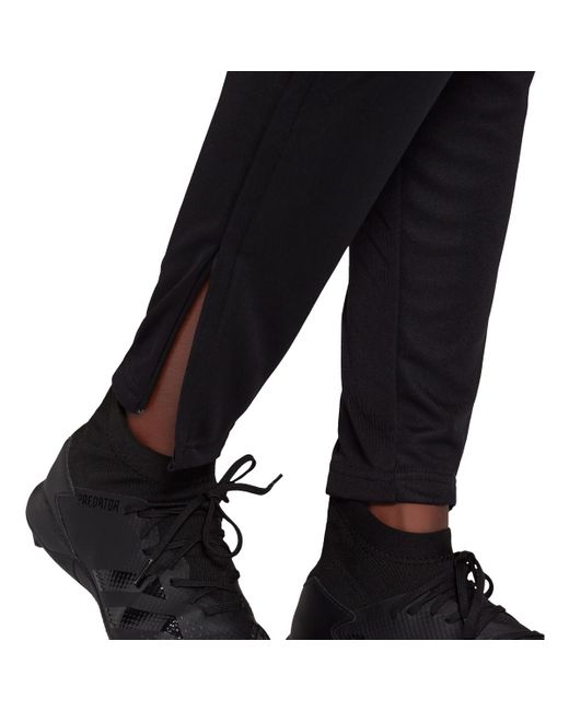 training adidas slim