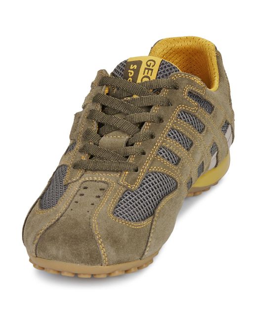 Geox Sneaker U Snake Original in Green für Herren
