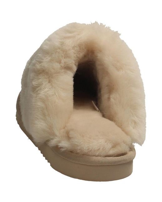 Chaussons Warmbat en coloris Brown