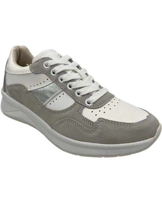 Baskets basses Lumberjack en coloris Gray