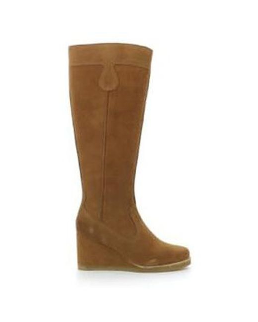 Bottes West, Bottes Femme Kickers en coloris Brown