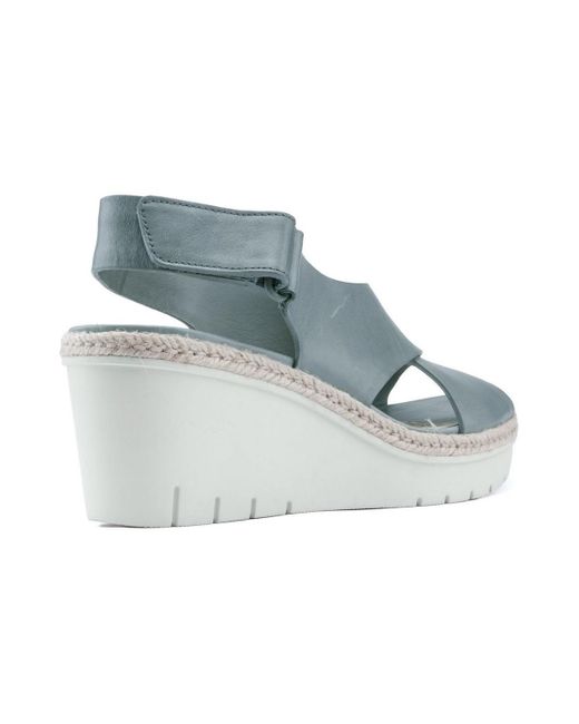 clarks palm glow