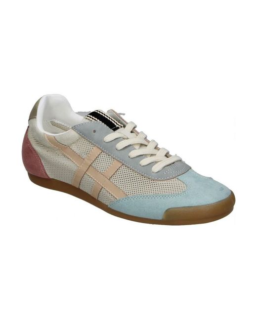 Baskets Basses 115755 Skydiva en coloris Gray