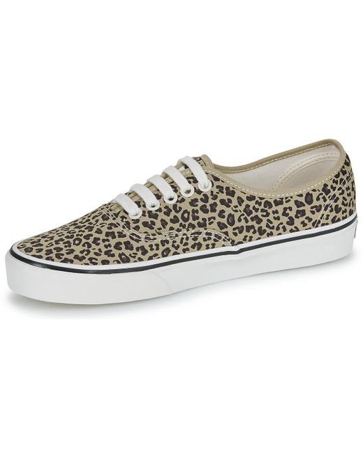 Vans Gray Sneaker Authentic