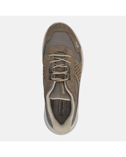 Baskets basses SCARPE CIVILI Grisport pour homme en coloris Natural