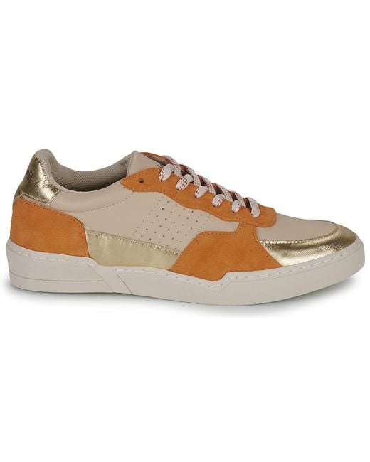 Fericelli Brown Sneaker Dame